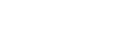CZSyn Logo